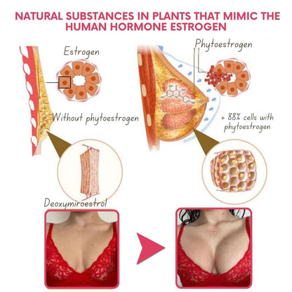 PowerBust™ | Natural Breast Cream