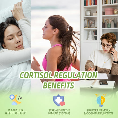 Seloria™ | Cortisol Wellness Liquid Drops