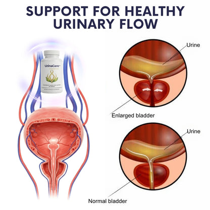UrinaCare™ | Urinary Wellness Support